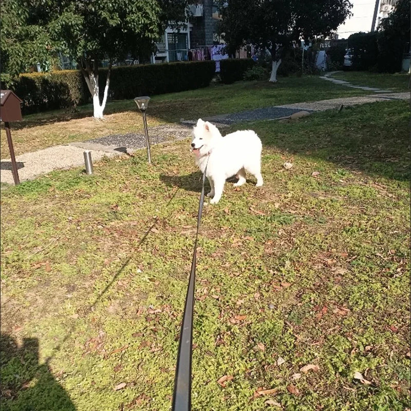 ACESSÓRIOS-Coleira retrátil automática para cães de 8/5 m, grande, médio e pequeno, com corda de tração em nylon, para pastor alemão