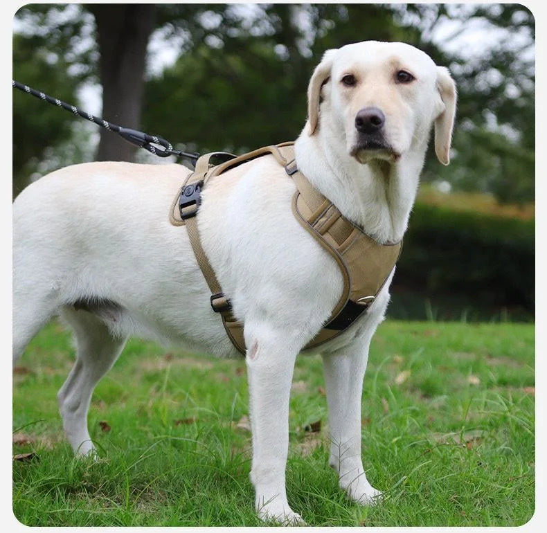 ACESSÓRIOS-Conjunto de arnês para cães com suporte para etiqueta de ar e guia - Conjunto de arnês e guia para cães Oxford respirável premium, durável e refletivot
