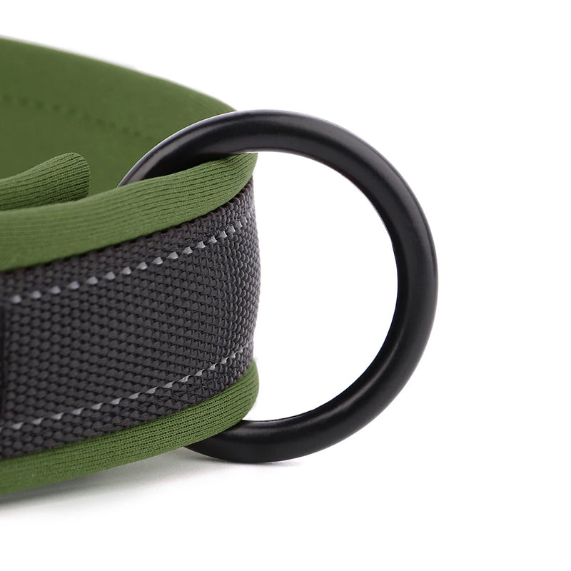 ACESSÓRIOS-Coleira refletiva para cães, identificação personalizada, fivela, gravação gratuita, coleira acolchoada macia, ajustável para cães pequenos, médios e grandes