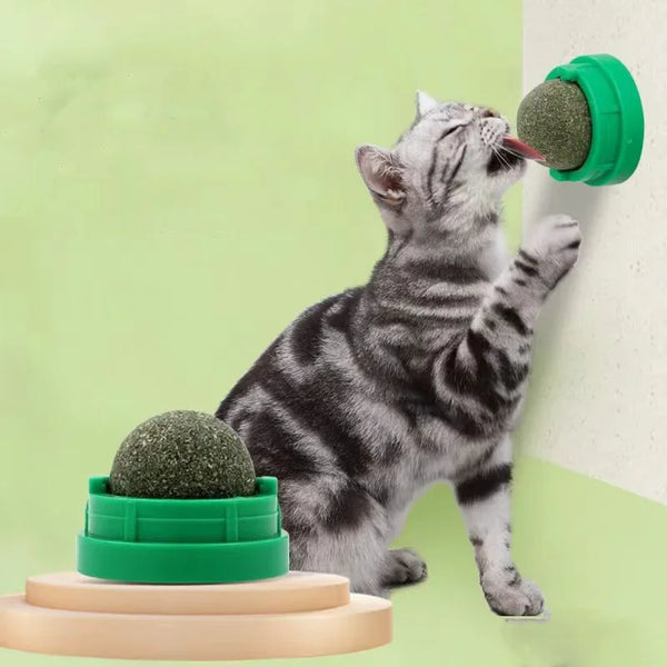 BRINQUEDOS-Bola adesiva para parede de gato, brinquedo arranhador, petiscos saudáveis e naturais, remove bolas para promover a digestão, petisco de grama para gatos
