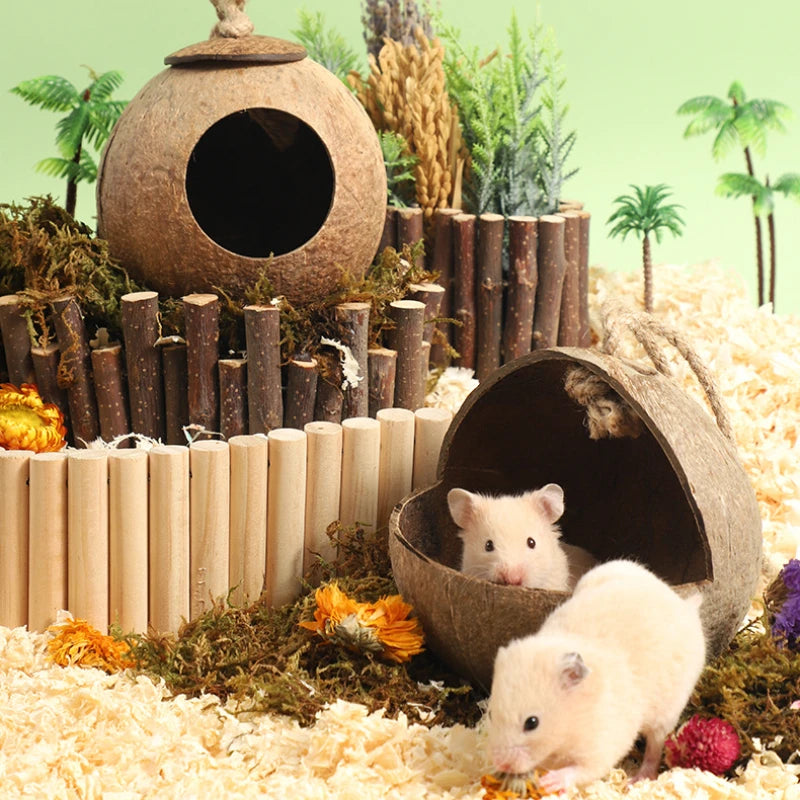 CAMINHAS-Casa de hamster resistente a mordidas, gaiolas de coco naturais para animais de estimação pequenos, esconderijo para porquinhos-da-índia, casa de madeira para hamster, suprimentos para animais de estimação