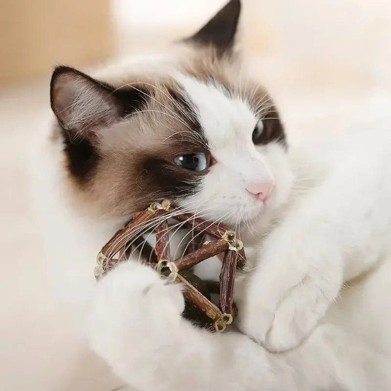 BRINQUEDOS-Bola de brinquedo para gatos, brinquedo de mastigar para gatinhos, limpa os dentes do gato, vara de matatabi saudável, brinquedo interativo para gatos