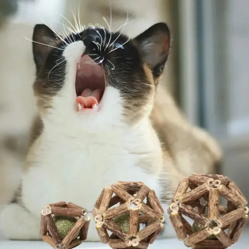 BRINQUEDOS-Bola de brinquedo para gatos, brinquedo de mastigar para gatinhos, limpa os dentes do gato, vara de matatabi saudável, brinquedo interativo para gatos