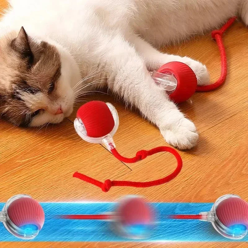 BRINQUEDOS-Bola de brinquedo elétrica para cachorro 2025, bola rolante automática, recarregável, brinquedo de pelúcia interativo para treinamento de cães e gatos