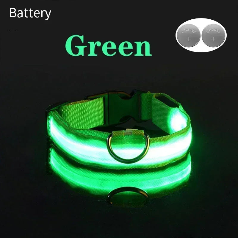 ACESSÓRIOS-Coleira de cachorro com LED e carregamento USB, anti-perda, segurança noturna, luz luminosa, ajustável, de nylon, para animais de estimação, coleiras brilhantes
