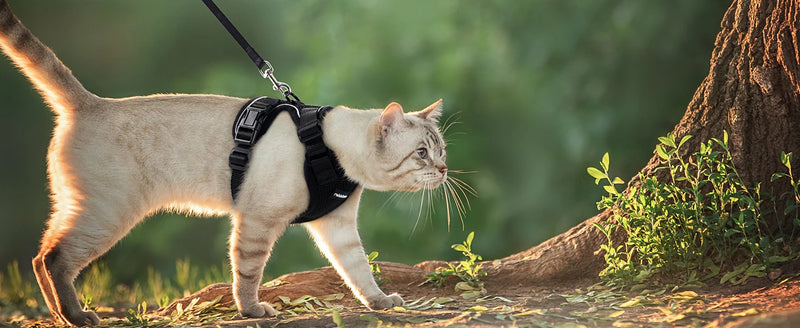 ACESSÓRIOS-Coleira e guia para gatos para caminhada, coletes ajustáveis e macios à prova de fuga para gatos, EasyControl