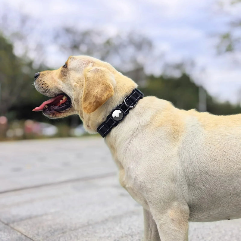 ACESSÓRIOS-Airtag Dog Collar with Waterproof AirTag Case, Reflective Soft Padded & Safety Air Tag Pet Collar Adjustable for Large Dogs