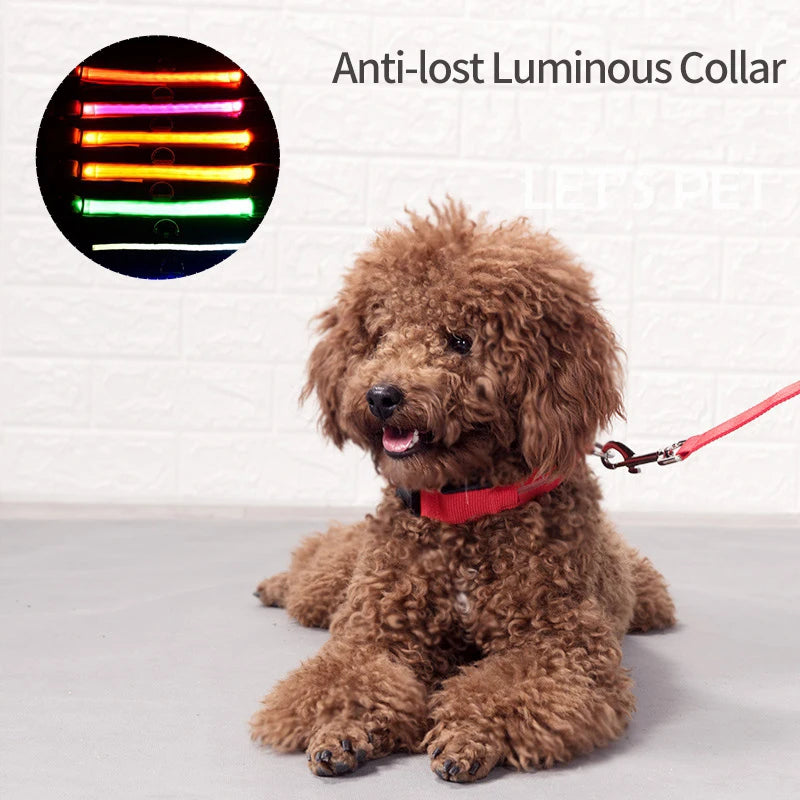 ACESSÓRIOS-Coleira de cachorro com LED e carregamento USB, anti-perda, segurança noturna, luz luminosa, ajustável, de nylon, para animais de estimação, coleiras brilhantes