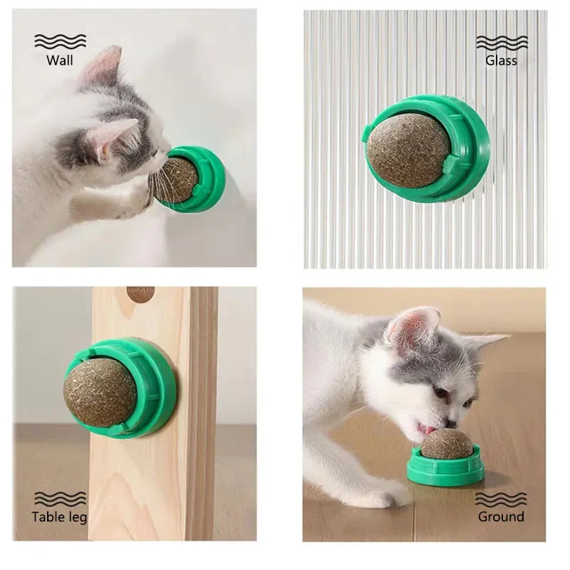 BRINQUEDOS-Bola adesiva para parede de gato, brinquedo arranhador, petiscos saudáveis e naturais, remove bolas para promover a digestão, petisco de grama para gatos
