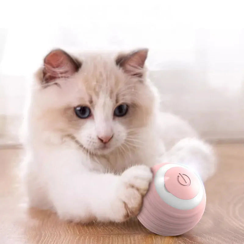BRINQUEDOS-Bola interativa para gatos, brinquedo inteligente para gatos, bola mágica com rolamento automático para ambientes internos, bola de brinquedo para cães, bola de rolamento que quica e se move automaticamente