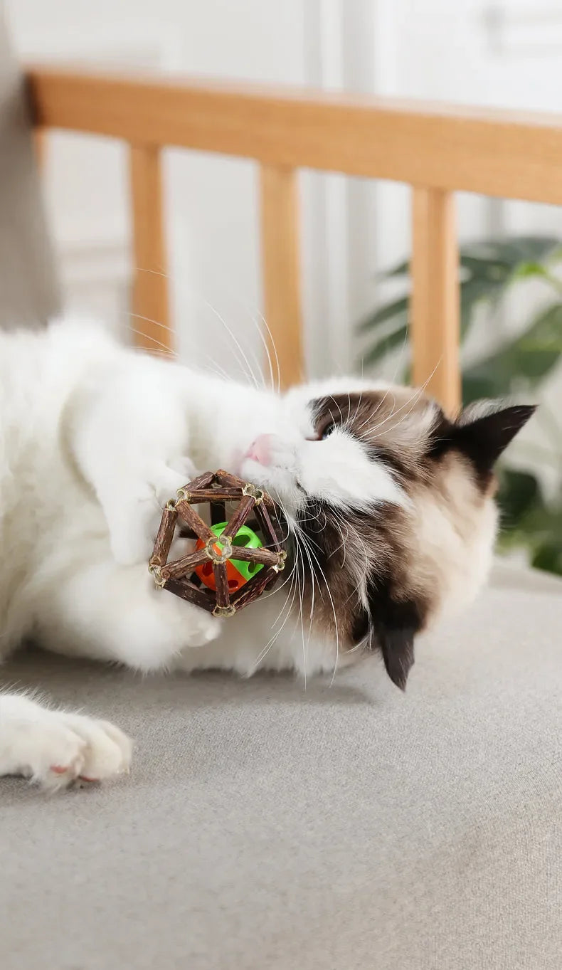 BRINQUEDOS-Bola de brinquedo para gatos, brinquedo de mastigar para gatinhos, limpa os dentes do gato, vara de matatabi saudável, brinquedo interativo para gatos