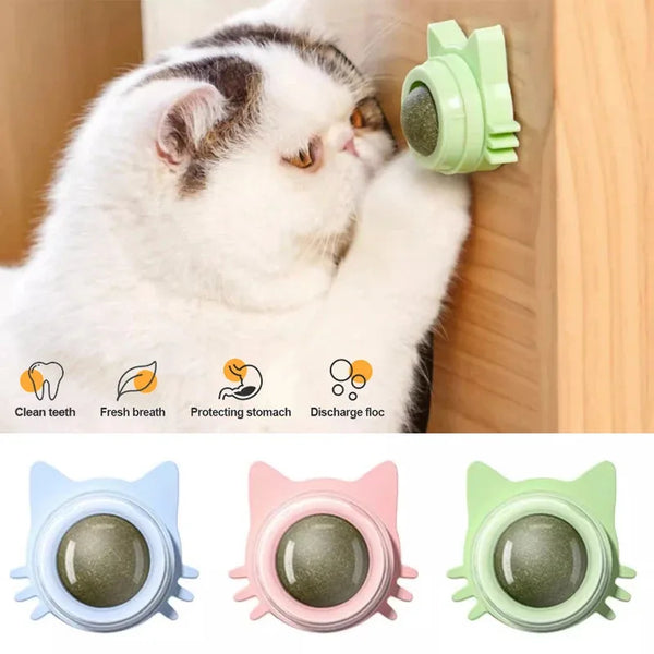 BRINQUEDOS-1 peça de pirulito de catnip para gatos, petisco de parede com design para cuidados dentários, hálito fresco, bola energética para proteção estomacal, suprimentos para animais de estimação