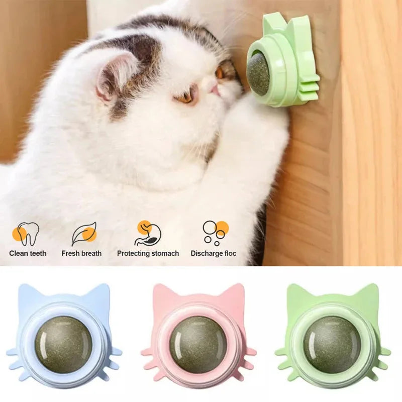 BRINQUEDOS-1 peça de pirulito de catnip para gatos, petisco de parede com design para cuidados dentários, hálito fresco, bola energética para proteção estomacal, suprimentos para animais de estimação