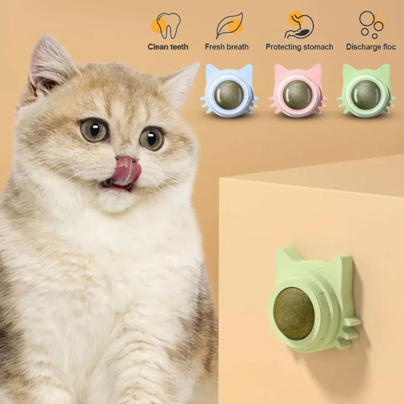 BRINQUEDOS-1 peça de pirulito de catnip para gatos, petisco de parede com design para cuidados dentários, hálito fresco, bola energética para proteção estomacal, suprimentos para animais de estimação