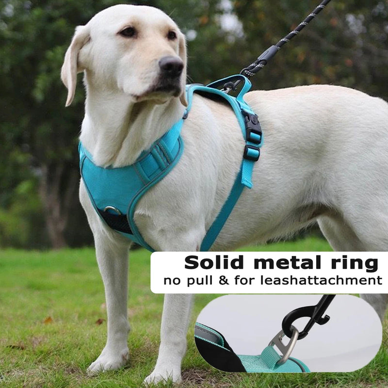 ACESSÓRIOS-Conjunto de arnês para cães com suporte para etiqueta de ar e guia - Conjunto de arnês e guia para cães Oxford respirável premium, durável e refletivot