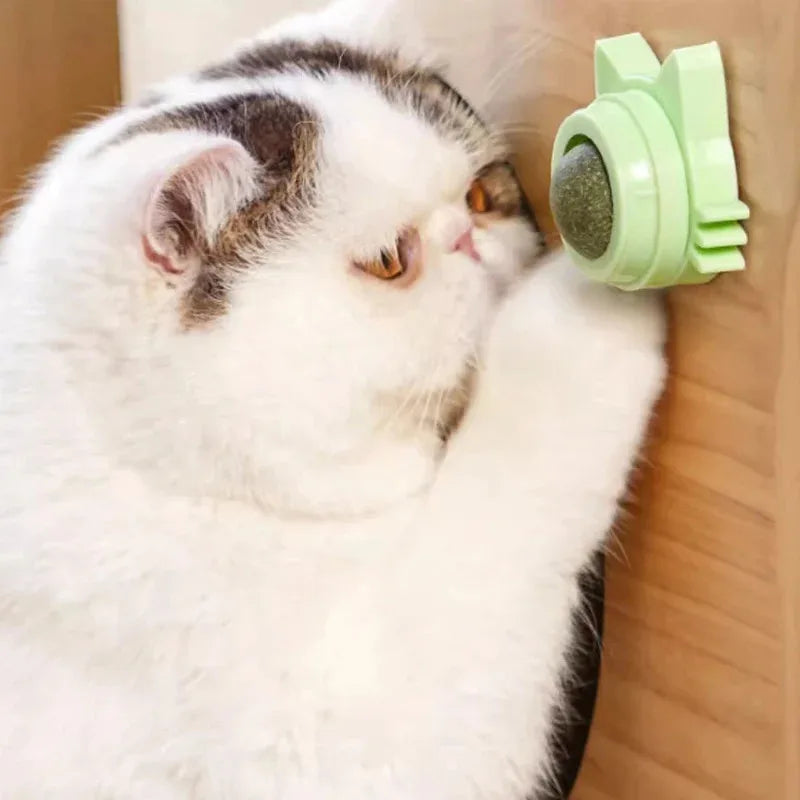 BRINQUEDOS-1 peça de pirulito de catnip para gatos, petisco de parede com design para cuidados dentários, hálito fresco, bola energética para proteção estomacal, suprimentos para animais de estimação