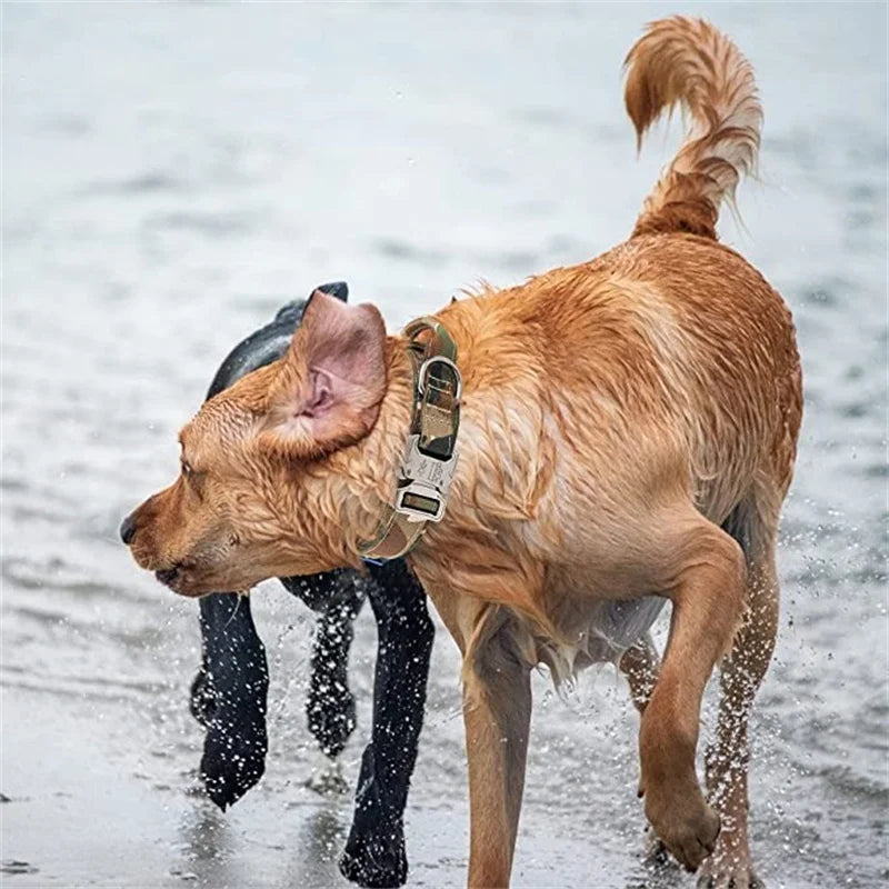 ACESSÓRIOS-Conjunto de coleira tática militar para cães, coleira durável para animais de estimação, coleira retrátil, acessório de treinamento para cães de médio e grande porte, pastor alemão