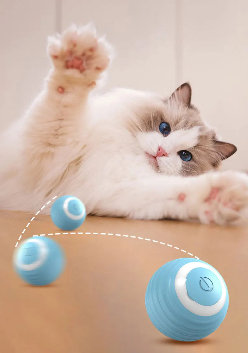 BRINQUEDOS-Bola interativa para gatos, brinquedo inteligente para gatos, bola mágica com rolamento automático para ambientes internos, bola de brinquedo para cães, bola de rolamento que quica e se move automaticamente