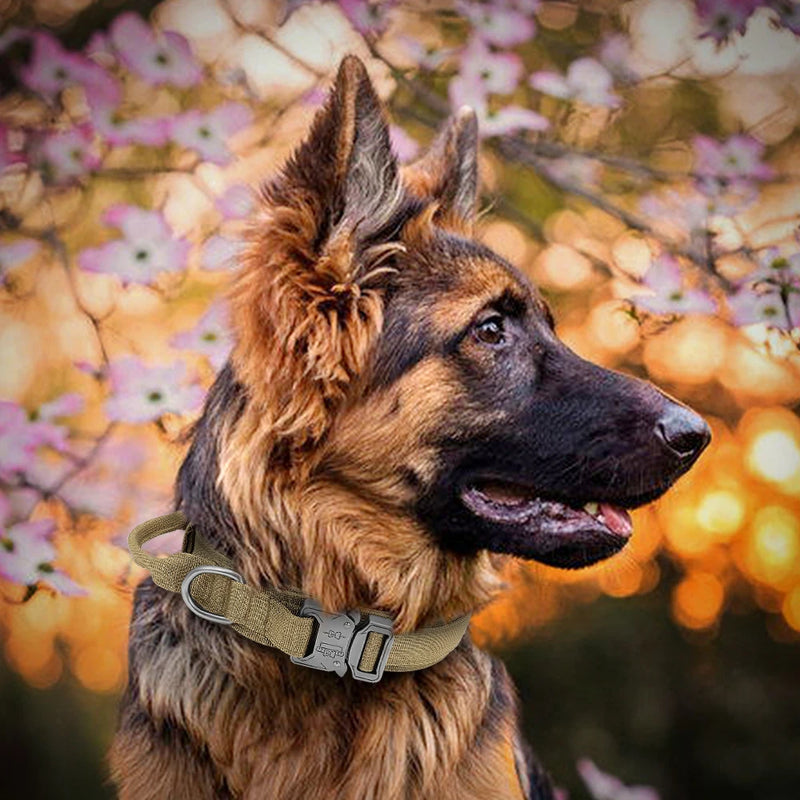 ACESSÓRIOS-Conjunto de coleira tática militar para cães, coleira durável para animais de estimação, coleira retrátil, acessório de treinamento para cães de médio e grande porte, pastor alemão