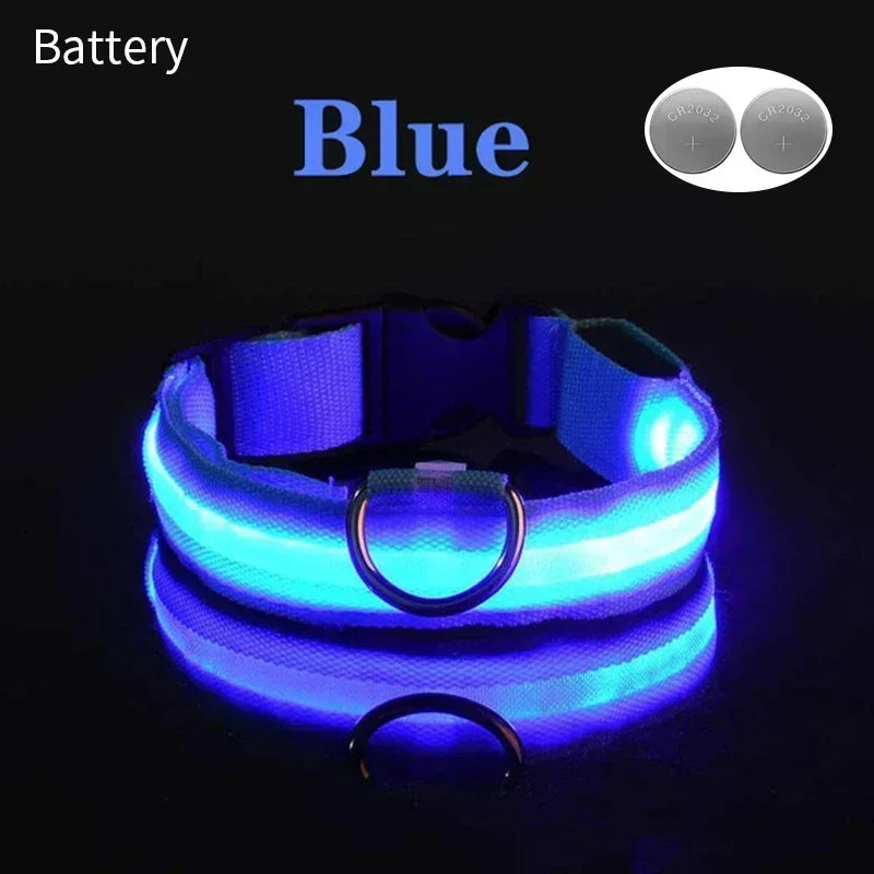 ACESSÓRIOS-Coleira de cachorro com LED e carregamento USB, anti-perda, segurança noturna, luz luminosa, ajustável, de nylon, para animais de estimação, coleiras brilhantes