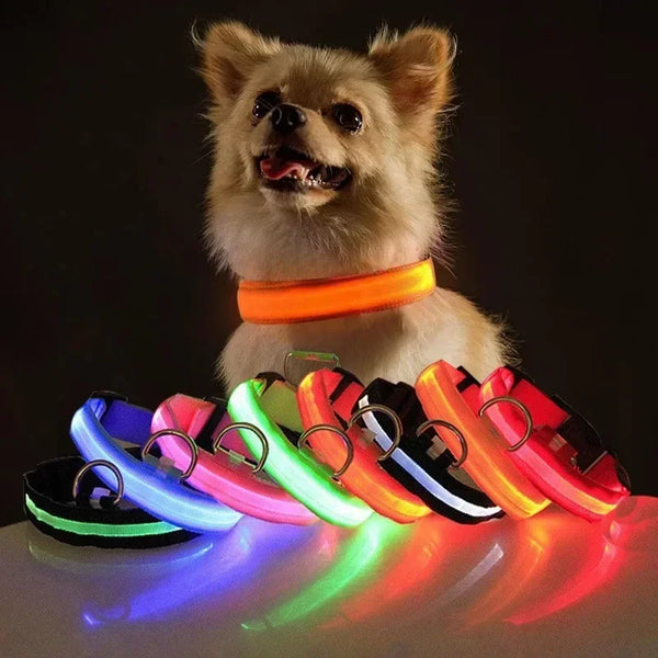 ACESSÓRIOS-Coleira de cachorro com LED e carregamento USB, anti-perda, segurança noturna, luz luminosa, ajustável, de nylon, para animais de estimação, coleiras brilhantes