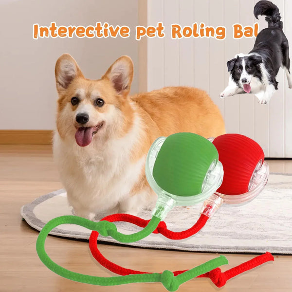BRINQUEDOS-Bola de brinquedo elétrica para cachorro 2025, bola rolante automática, recarregável, brinquedo de pelúcia interativo para treinamento de cães e gatos