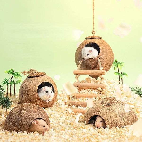 CAMINHAS-Casa de hamster resistente a mordidas, gaiolas de coco naturais para animais de estimação pequenos, esconderijo para porquinhos-da-índia, casa de madeira para hamster, suprimentos para animais de estimação