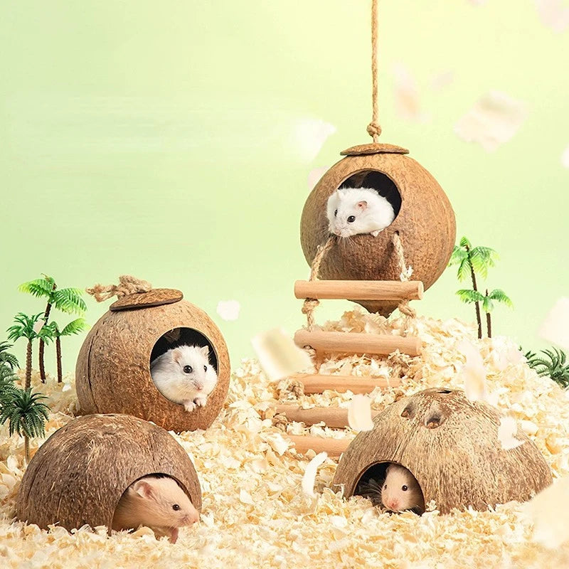 CAMINHAS-Casa de hamster resistente a mordidas, gaiolas de coco naturais para animais de estimação pequenos, esconderijo para porquinhos-da-índia, casa de madeira para hamster, suprimentos para animais de estimação