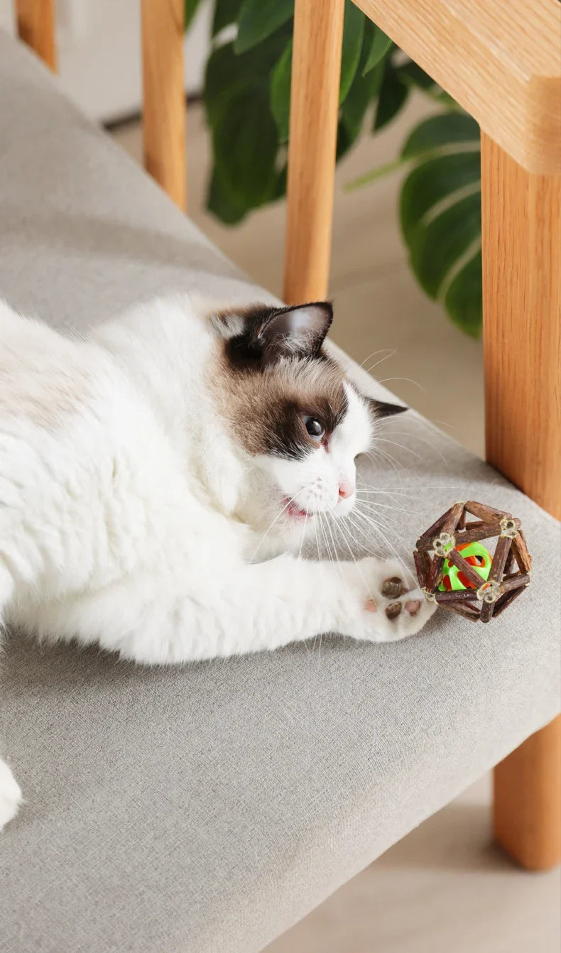 BRINQUEDOS-Bola de brinquedo para gatos, brinquedo de mastigar para gatinhos, limpa os dentes do gato, vara de matatabi saudável, brinquedo interativo para gatos