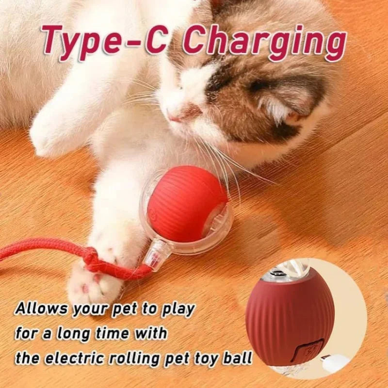 BRINQUEDOS-Bola de brinquedo elétrica para cachorro 2025, bola rolante automática, recarregável, brinquedo de pelúcia interativo para treinamento de cães e gatos