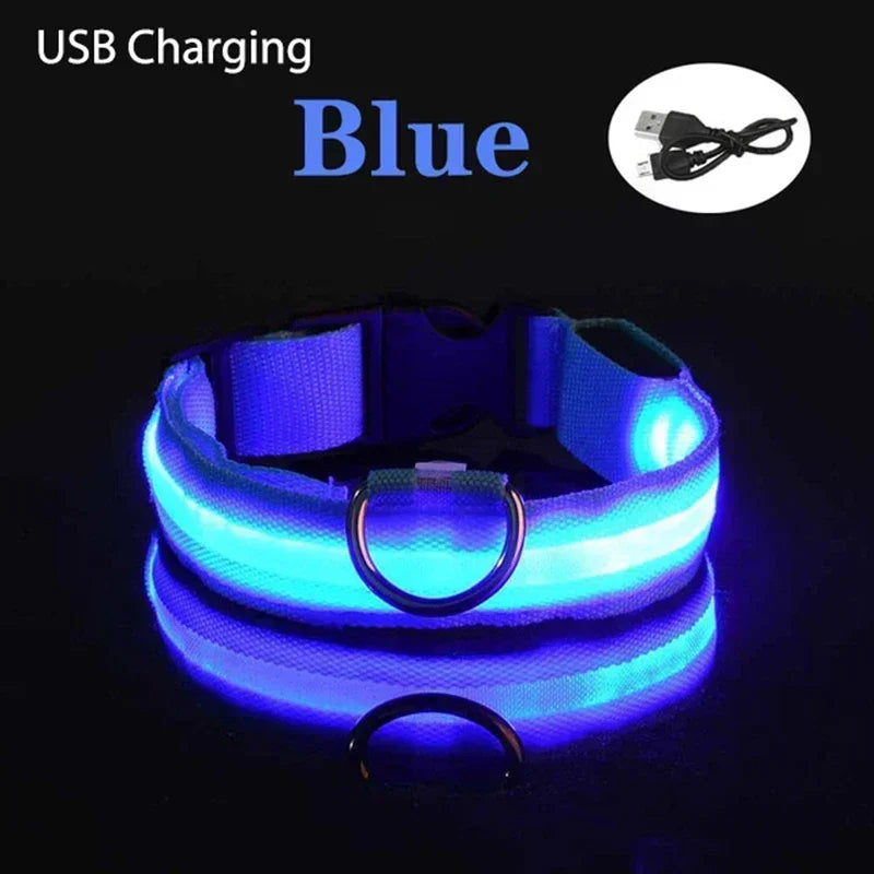 ACESSÓRIOS-Coleira de cachorro com LED e carregamento USB, anti-perda, segurança noturna, luz luminosa, ajustável, de nylon, para animais de estimação, coleiras brilhantes