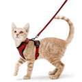 ACESSÓRIOS-Coleira e guia para gatos para caminhada, coletes ajustáveis e macios à prova de fuga para gatos, EasyControl