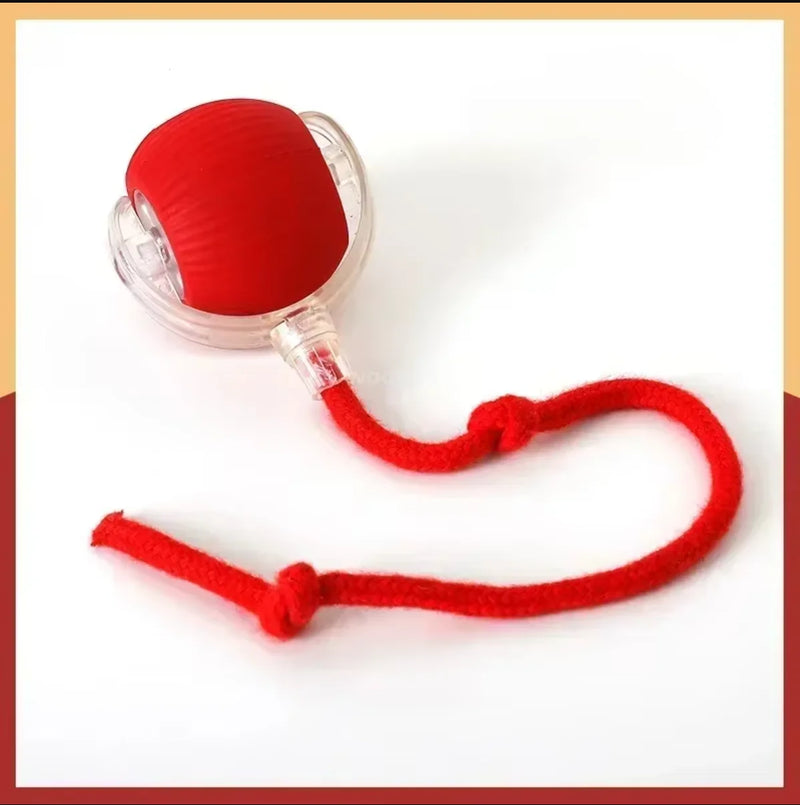 BRINQUEDOS-Bola de brinquedo elétrica para cachorro 2025, bola rolante automática, recarregável, brinquedo de pelúcia interativo para treinamento de cães e gatos